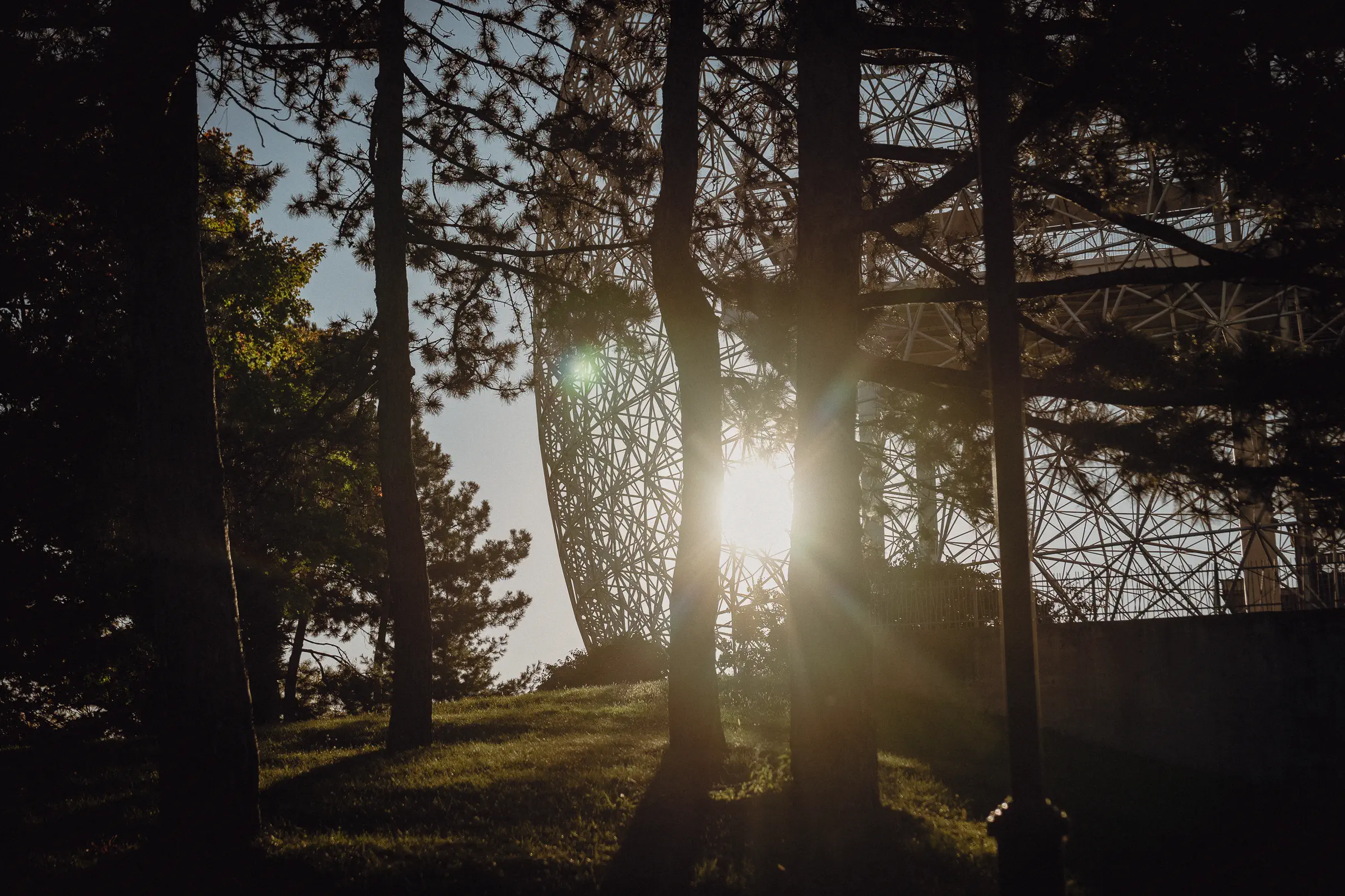 Late sunlight filters through the trees with the Biosphère de Montréal visible beyond